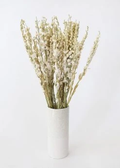 Afloral Cream Dried Larkspur Wildflowers - 23-26