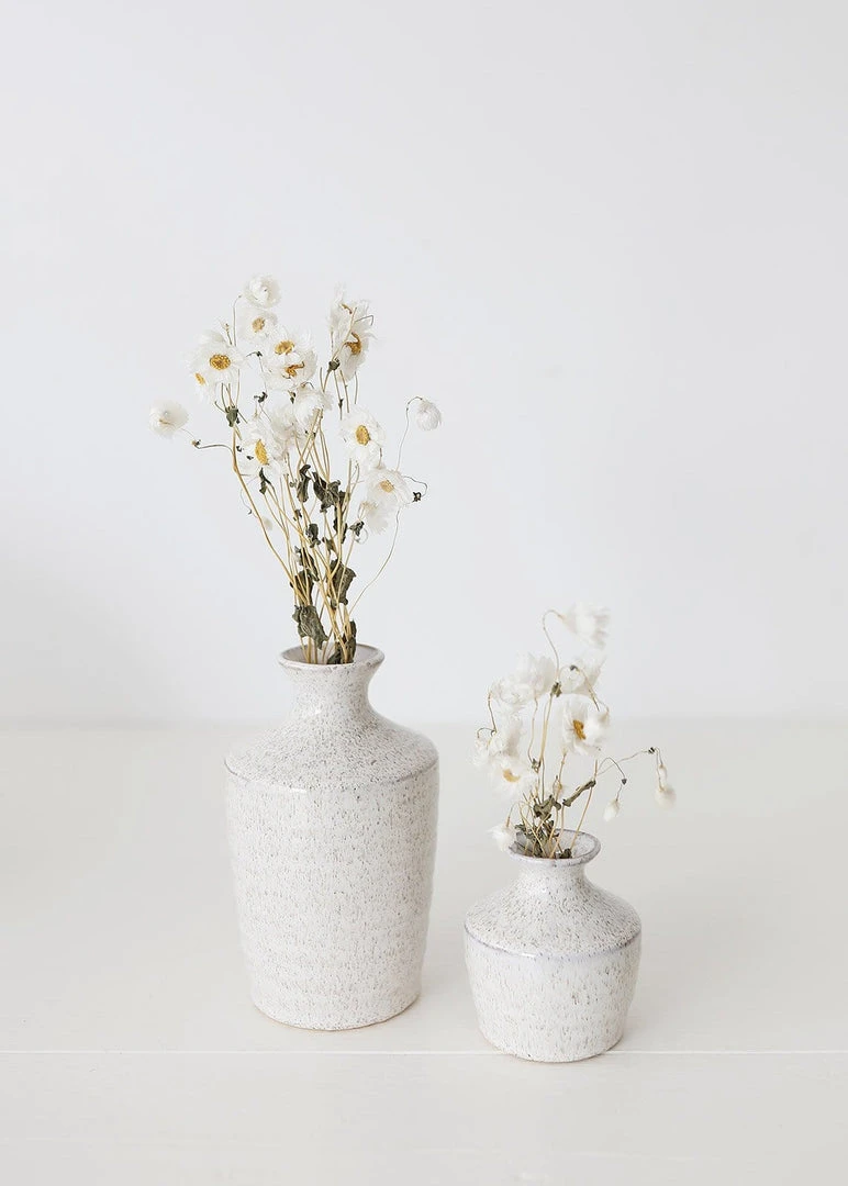 Afloral White Preserved Rodanthe Flowers - 22-28" Dried Flowers