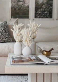 Afloral White Dried Bunny Tails - 18-28"