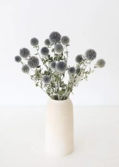 Afloral Dried Flowers Blue Dried Echinops Globe Thistles - 16-22