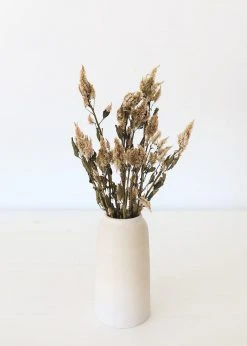 Afloral Dried Celosia Flowers In Terracotta