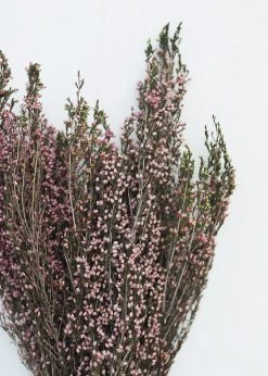 Afloral Naturally Preserved Heather Flowers - 15-20"