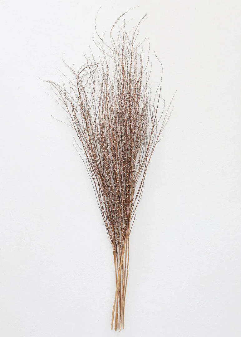 Afloral Dried Hoary Willow Branches - 20-30"