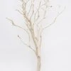 Afloral Dried Flowers Dried Decor Sandblasted Manzanita Branch - 34-38"