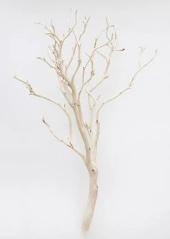 Afloral Dried Flowers Dried Decor Sandblasted Manzanita Branch - 34-38