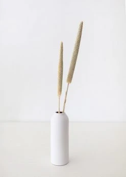 Afloral Dried Pearl Millet Grass - 24-28"