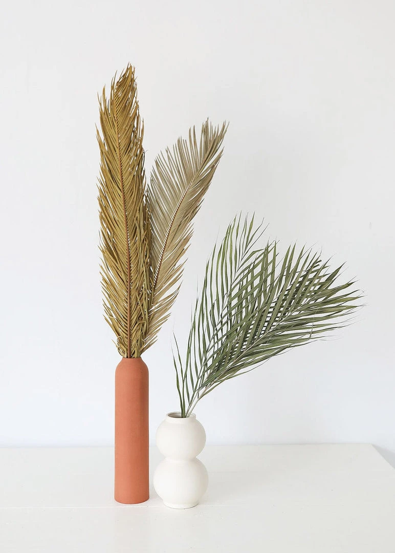 Afloral Bundle Of 3 Natural Cycas Palms - 30-36" Dried Flowers