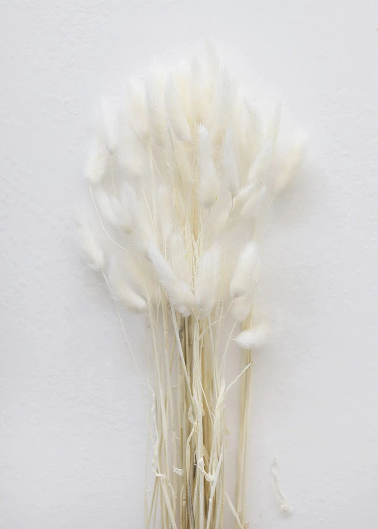 Afloral White Dried Bunny Tails - 18-28"