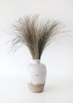 Afloral Preserved Dune Grass - 36