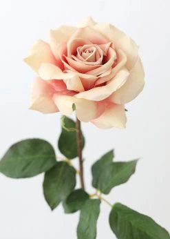 Afloral Dusty Pink Mauve Real Touch Dutchess Rose - 20