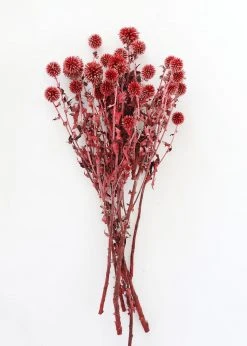 Afloral Dried Flowers Burgundy Dried Echinops Thistle Flowers - 18-28