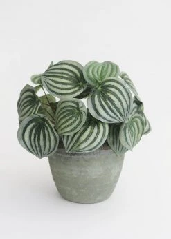 Afloral Earthy Ceramic Planter Pot - 6.25" Vases