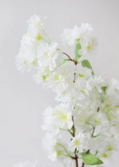 Afloral Artificial Spring Cherry Blossoms In Cream - 40" Artificial Flowers