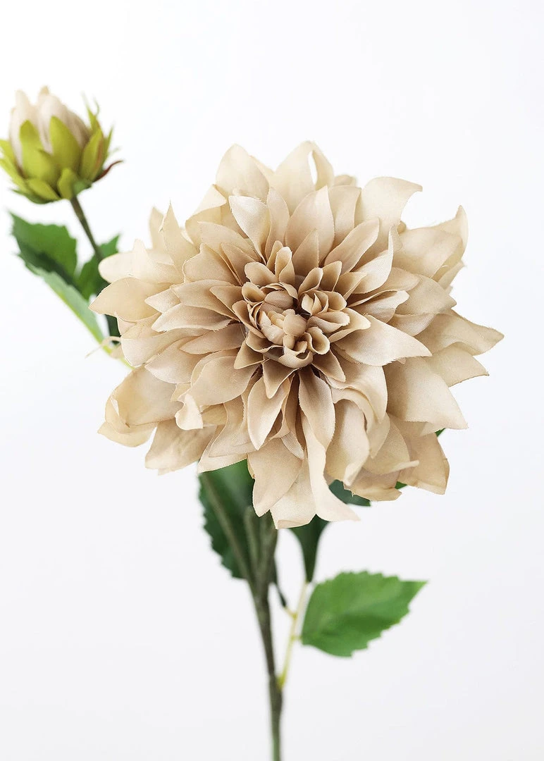 Afloral Dahlia Silk Flower In Taupe - 19.5"