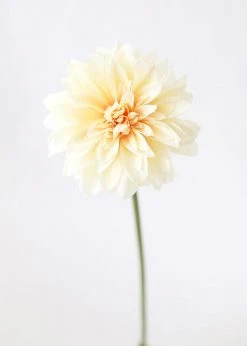 Afloral Dahlia Silk Flower In Yellow Peach - 19"