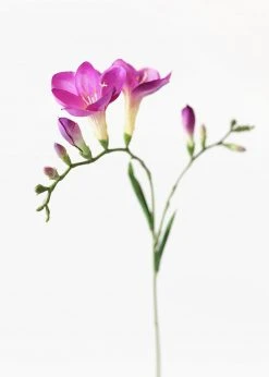 Afloral Fake Flower Freesia In Violet - 27