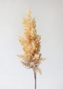 Afloral Fake Pampas Grass In Tan - 33" Artificial Plants