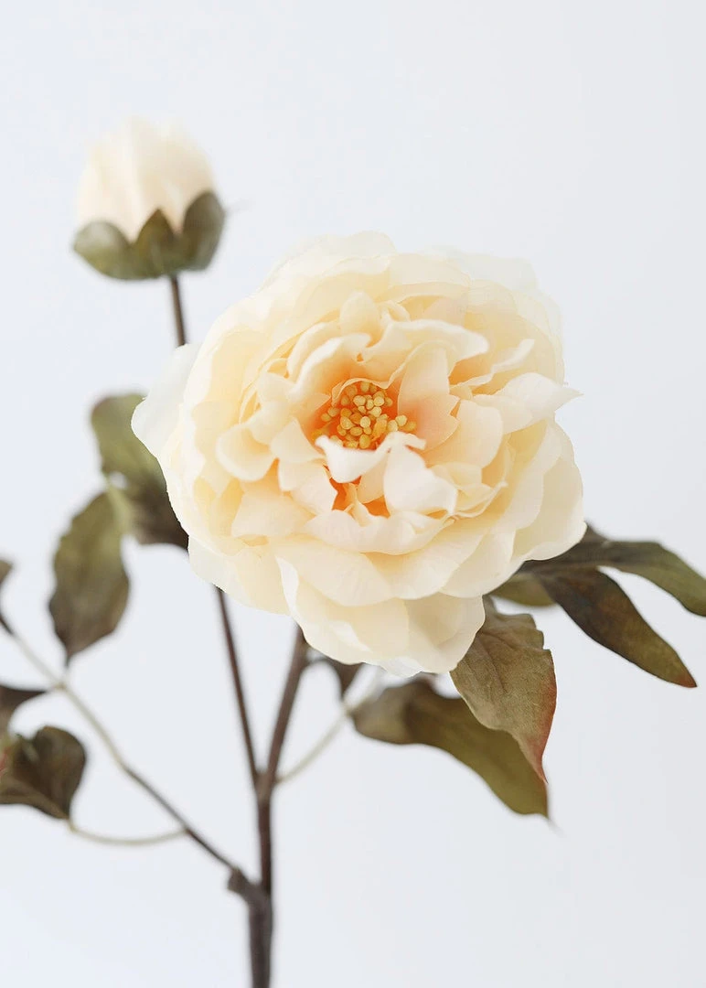 Afloral Artificial Peony In Beige - 28.5" Artificial Flowers