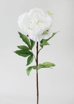 Afloral Natural Touch Peony In Cream White - 30"
