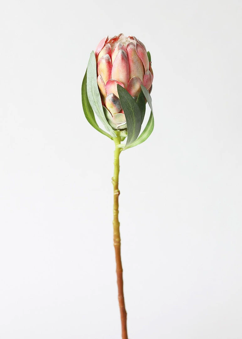 Afloral Faux Protea Flower In Coral Yellow - 18.5" Artificial Flowers