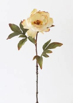 Afloral Vanilla Ivory Fake Peony Flower - 22"