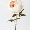 Afloral.com Artificial Flowers Artificial Peony Flower In Ivory - 24"