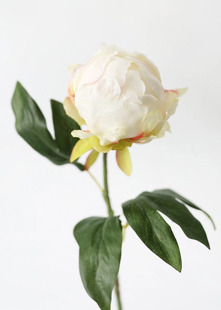 Afloral Artificial Flower Peony Bud In Cream - 18"