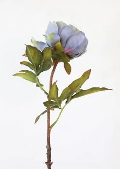 Afloral Silk Peony In Antique Blue - 22