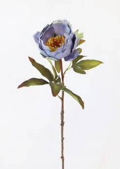 Afloral Silk Peony In Antique Blue - 22