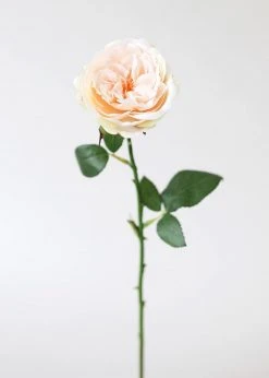 Afloral Artificial Flowers Peach Artificial English Cabbage Rose - 20.5