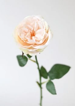 Afloral Artificial Flowers Peach Artificial English Cabbage Rose - 20.5