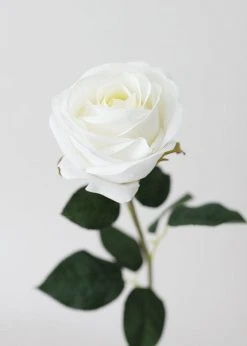 Afloral Real Touch White Rose Stem - 20