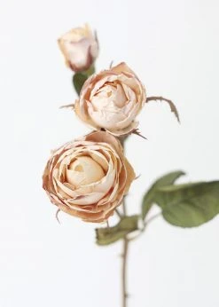 Afloral Beige Faux Dried Roses With Bud - 21"