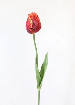 Afloral Artificial Flowers Tie Dye Red Artificial Parrot Tulip - 25"