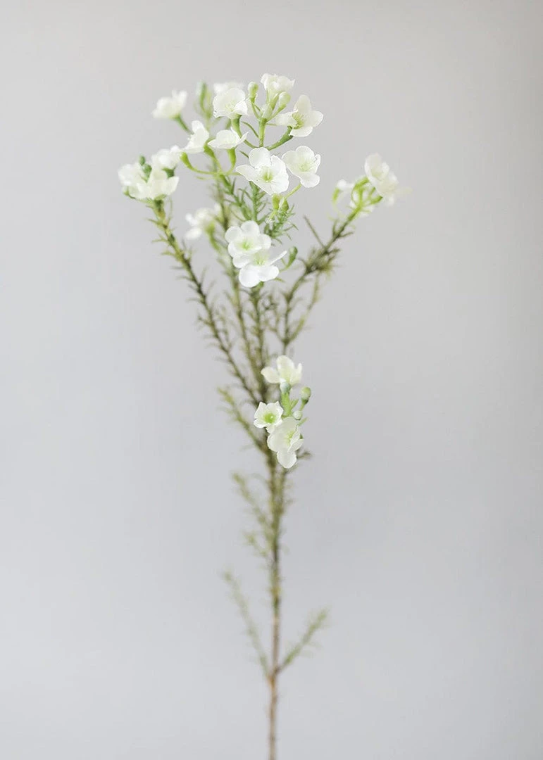 Afloral Artificial Flowers White Fake Waxflower Filler Flowers - 26"
