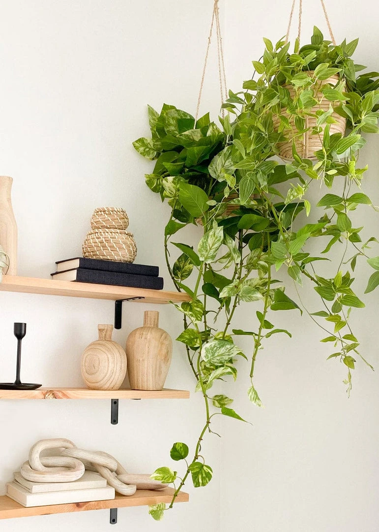 Afloral Artificial Plants Hanging Tradescantia Houseplant - 41"