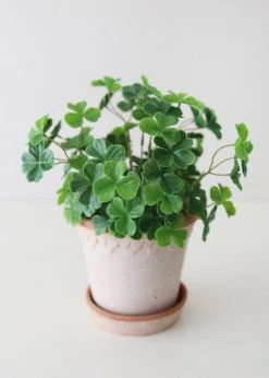 Afloral Fake Plants 4-Leaf Clover Bush - 11