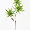 Afloral Variegated Fake Dracaena Succulent - 30" Artificial Plants