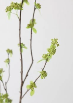 Afloral Artificial Branch With Green Buds - 40"