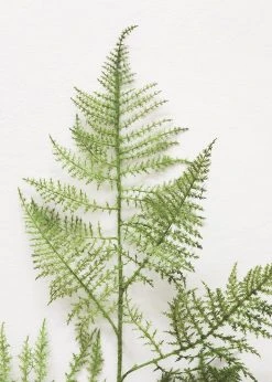 Afloral Fake Asparagus Fern Leaves - 45" Artificial Plants