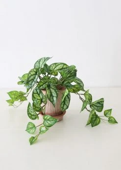 Afloral Artificial Plants UV Protected Peperomia Fake Hanging Plant - 19.5