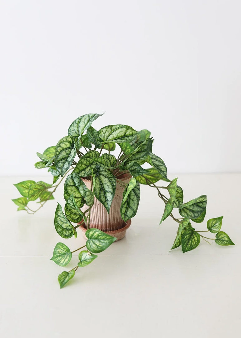 Afloral Artificial Plants UV Protected Peperomia Fake Hanging Plant - 19.5"