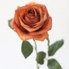 Afloral Fake Rose In Terracotta - 21.5"