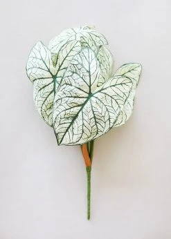 Afloral Variegated Tropical Caladium Fake Leaf Plant - 23"