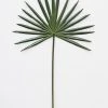 Afloral Fake Fan Palm Tropical Leaf - 28"