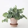 Afloral Artificial Satin Pothos House Plant - 9"