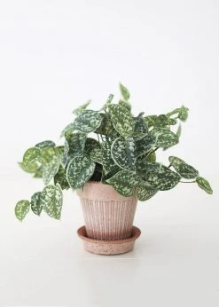 Afloral Artificial Satin Pothos House Plant - 9"