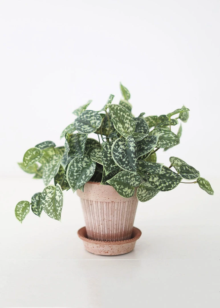 Afloral Artificial Satin Pothos House Plant - 9"