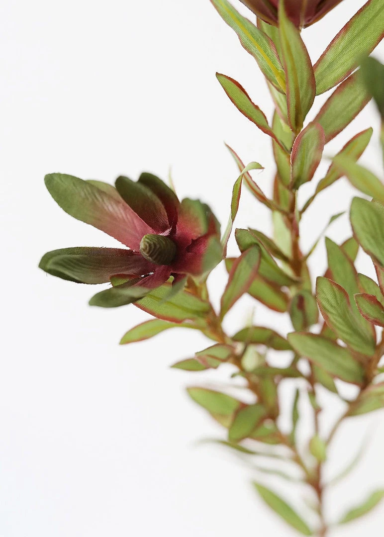 Afloral Artificial Wild Protea Foliage - 26.25" Artificial Plants