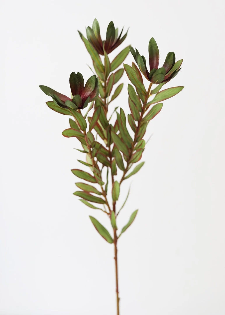 Afloral Artificial Wild Protea Foliage - 26.25" Artificial Plants